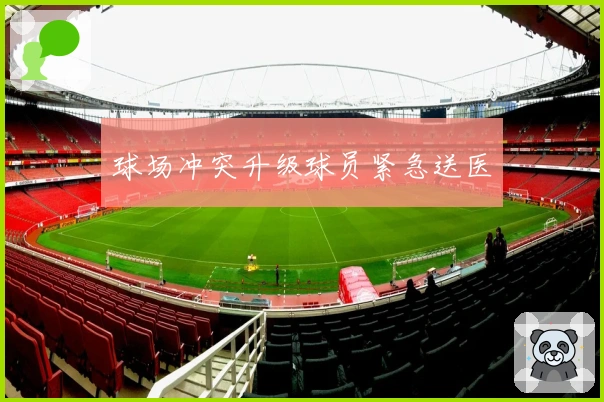 球场冲突升级球员紧急送医