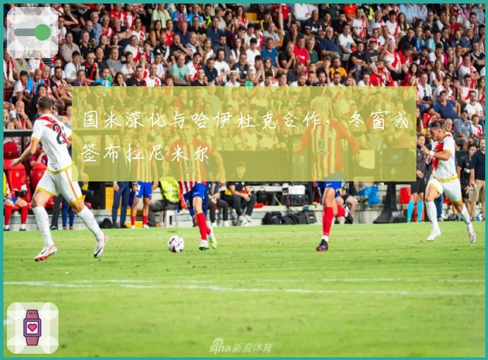 国米深化与哈伊杜克合作，冬窗或签布拉尼米尔